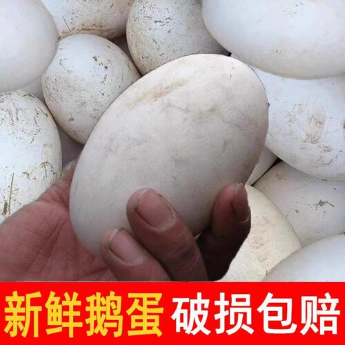 12枚特大生鹅蛋120-140克双黄蛋正宗土鹅蛋农家散养新鲜孕妇精品