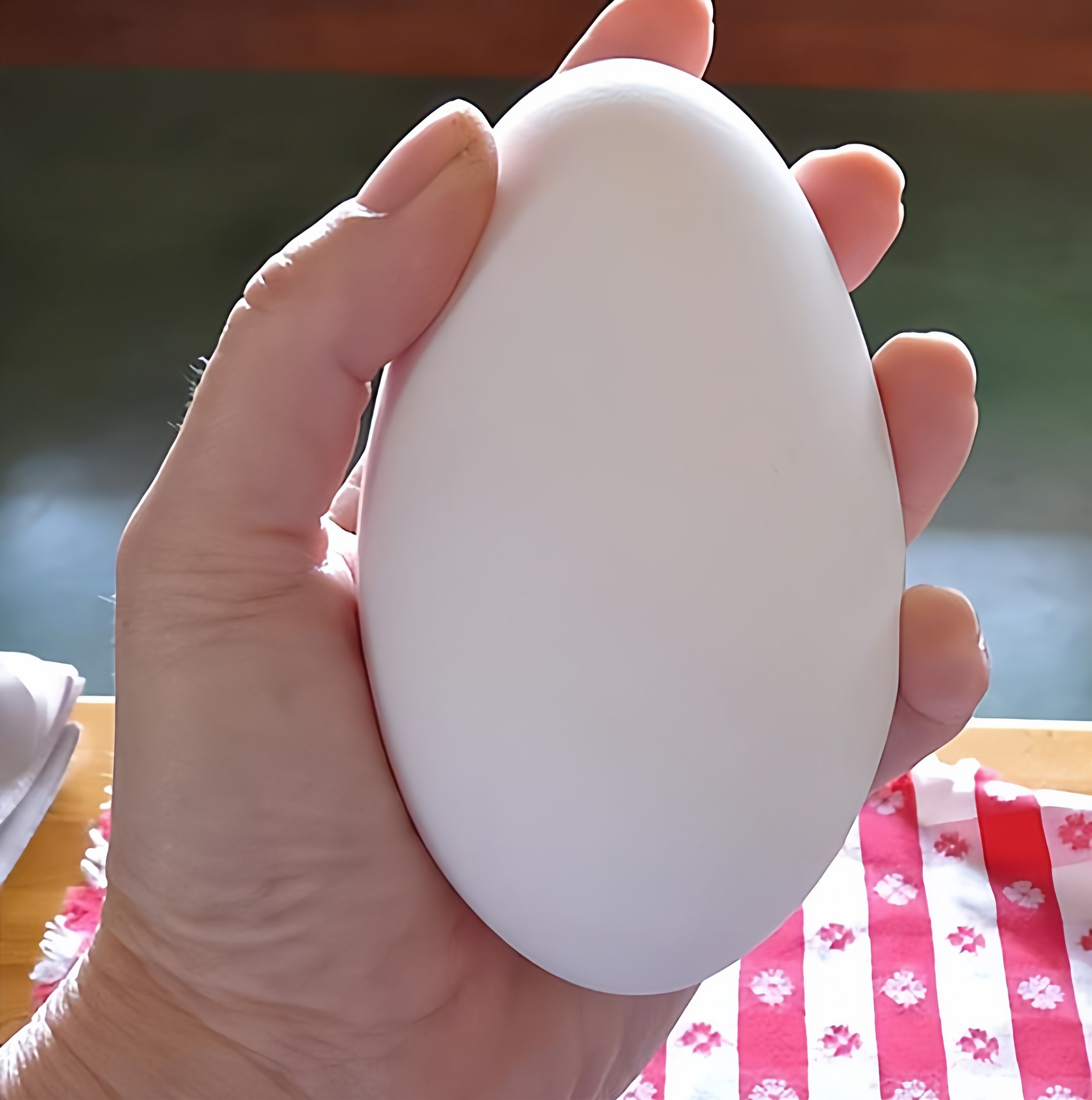 12枚特大生鹅蛋220-260克双黄蛋正宗土鹅蛋农家散养新鲜孕妇精品,水产肉类/新鲜蔬果/熟食,鸡蛋,淘宝优惠券,粉丝福利购,淘宝优惠卷