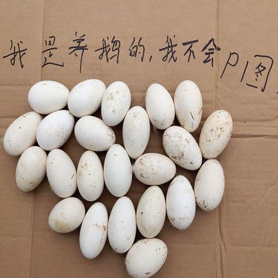 12枚特大生鹅蛋120-140克双黄蛋正宗土鹅蛋农家散养新鲜孕妇精品