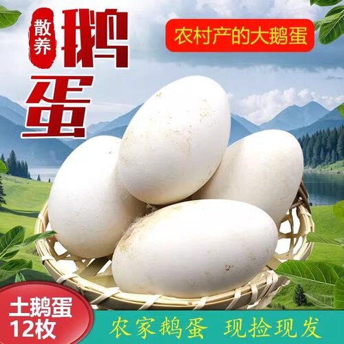 12枚特大生鹅蛋220-260克双黄蛋正宗土鹅蛋农家散养新鲜孕妇精品