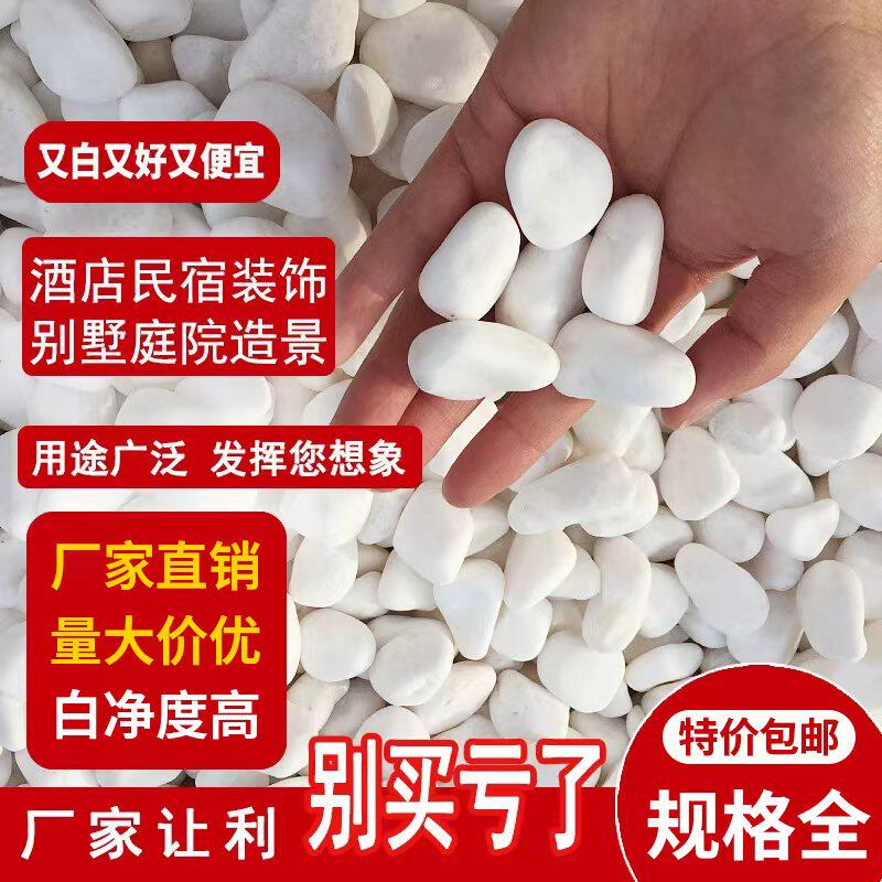白石子盆栽铺面白色鹅卵石庭院景观装饰石子花园铺路造景白色石头