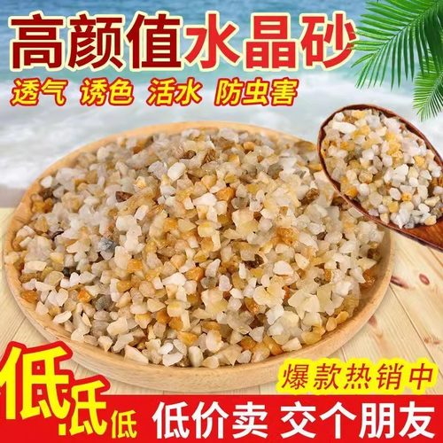 天然水晶河沙种植沙河沙多肉植物铺面鱼缸铺底花盆专用小颗粒沙石