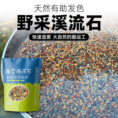 原生溪流石鱼缸底砂造景专用天然砂石水族箱底部石头水草装饰沙子