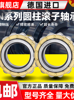 德国进口YLV圆柱滚子轴承RN230/232/234/236/238/240/244/248EM
