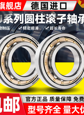 德国进口YLV圆柱滚子轴承N422 424 426 428 430 432 434 EM