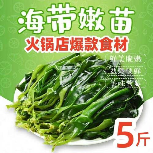 盐渍海带苗麻辣烫火锅食材