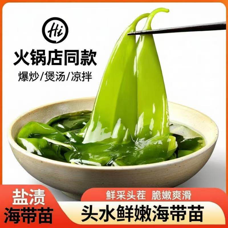 新鲜盐渍海带苗鲜嫩海带苗小海带海带