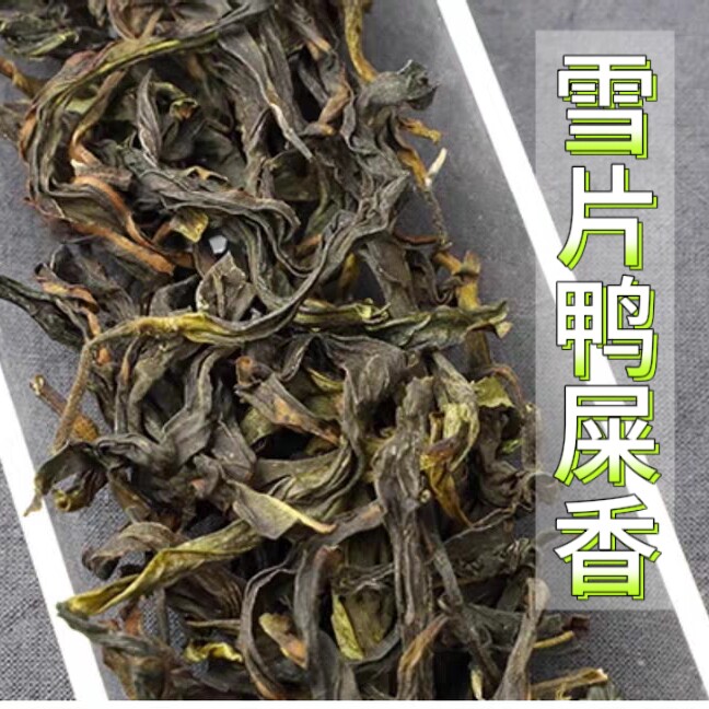 鸭屎香凤凰单丛茶特级500g