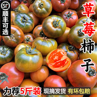 丹東鐵皮草莓柿子酸甜多汁
