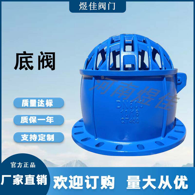 厂家供应H42X吸水底阀抽水泵底阀法兰底阀球墨铸铁法兰大流量底阀