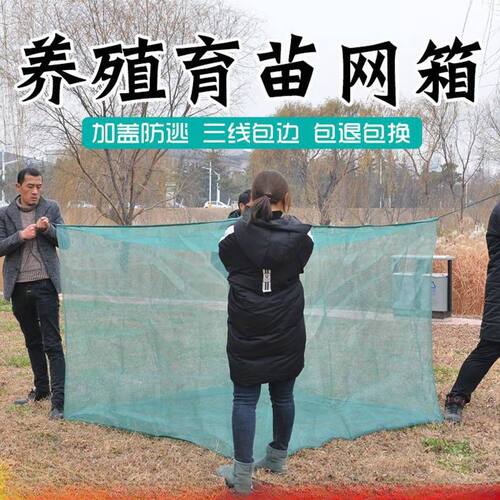 养鱼网箱养殖网10目尼龙养箱鱼苗小渔网防逃网网兜黄鳝虾鳝鱼专用