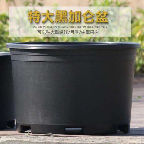 花盆大口径30以上矮盆高颜值2024年新款50塑料40特大号加仑加厚敞