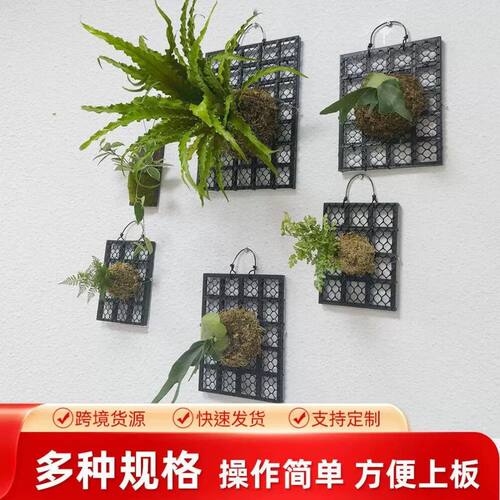 加厚鹿角蕨板 植床板石斛蕨类板美植板悬挂装饰品植床板园艺挂板