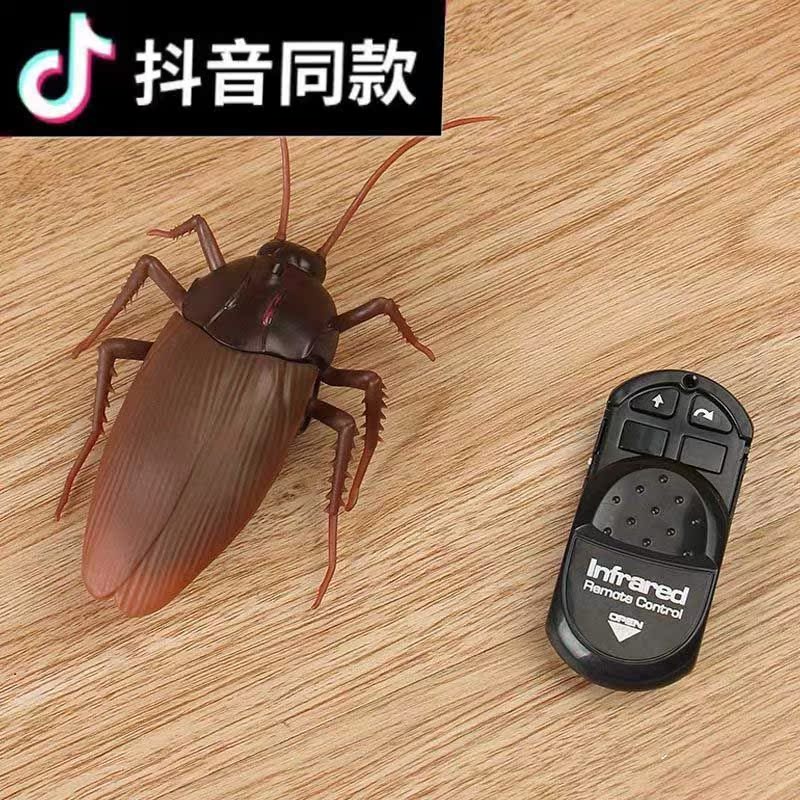 抖音遥控蟑螂玩具男生生日礼物遥控玩具男孩创意礼物整蛊道具恶搞