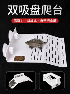 乌龟爬坡晒台巴西龟爬台晒台龟缸造景龟箱爬坡水族箱浮岛晒背台