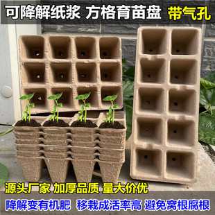 可降解纸浆育苗盆育种花盆营养盆培养盆营养钵定植盆营养杯育苗杯