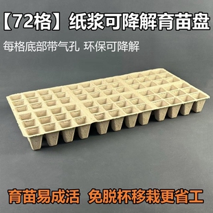 一次性纸浆育苗盘可降解多肉种植盒种菜盆育苗钵蔬菜培育盆营养杯