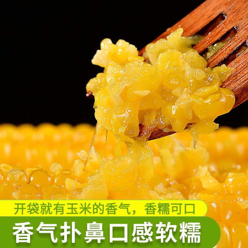 厂家直供东北黄糯玉米10根黑玉米粘新鲜非转基因非有机食品包邮