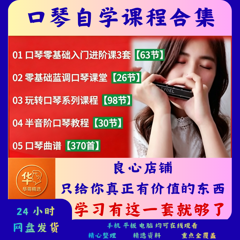 口琴自学课程全套合集零基础入门到进阶乐理速成必备技法视频教学
