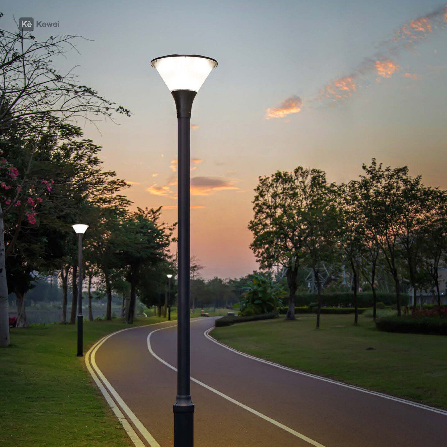 新款简约现代LED户外道路灯杆
