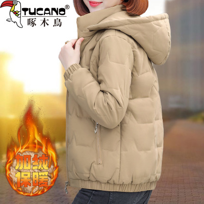 啄木鸟羽绒棉衣棉服女款冬季202