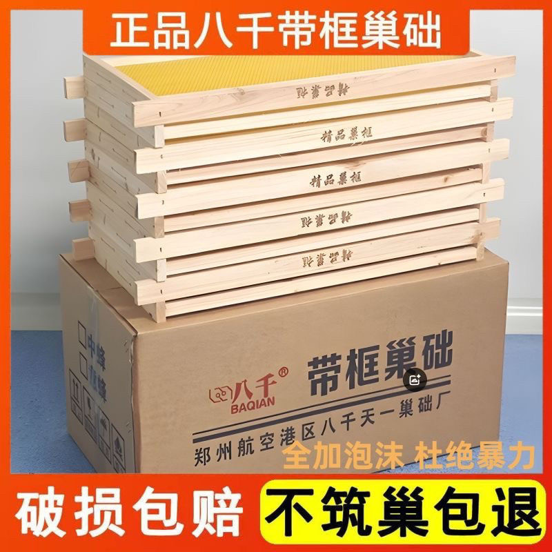 蜂巢蜜中蜂巢框杉木标准中锋蜜蜂巢框半成品养蜜蜂蜂具意蜂蜂箱巢