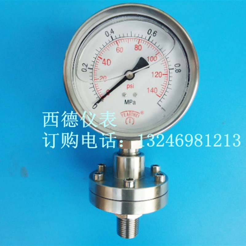 100MM全不锈钢螺纹式隔膜压力表,0-1MPA,1/2螺牙(4分)