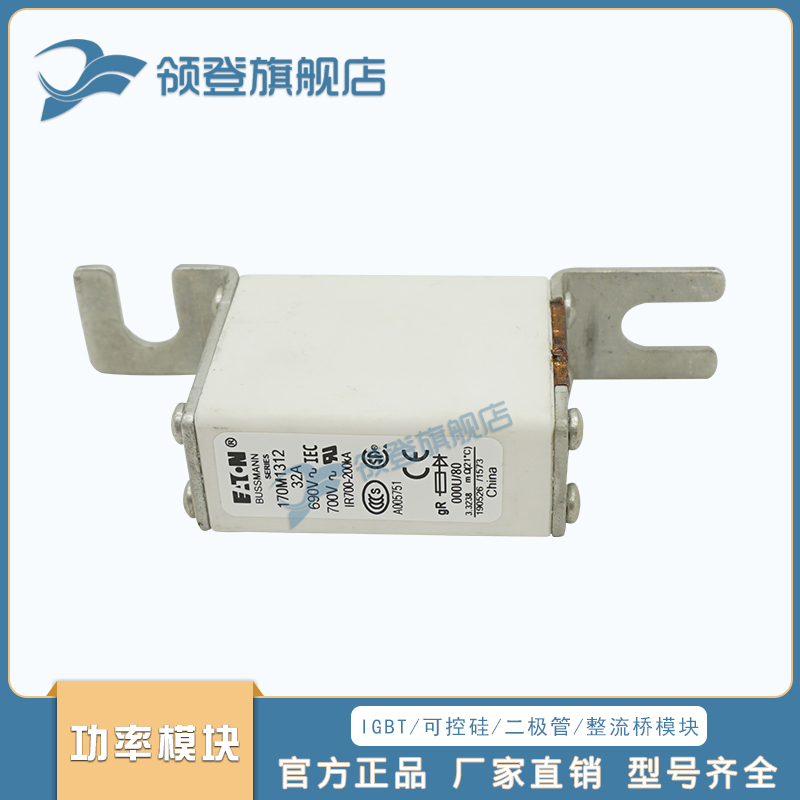 熔断器保险丝170M1308 1309 1310 1311 1312 1313 1314 1315 1315