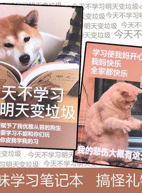 今天垃圾快乐笔记本学生