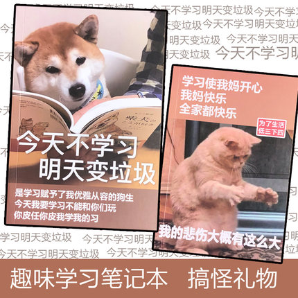 今天不学习明天变垃圾学习使我妈快乐本本笔记本日记本本子学生