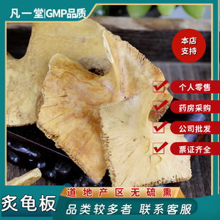 中药材 中草药 龟板 炙龟板 制龟板 醋龟板炙龟甲