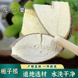 飞龙掌血 三百棒 中药材 中草药 大救驾见血飞散血丹 黄大金根