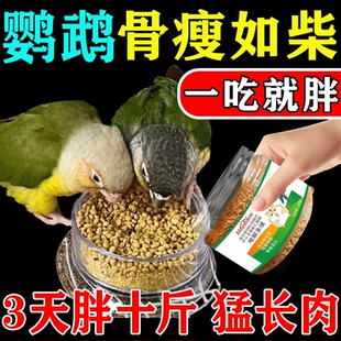 鹦鹉油料增肥粮玄凤牡丹虎皮开胃消食长膘专用营养粮增强免疫力