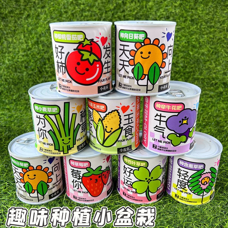 种植小盆栽桌面罐头植物幸运草幼儿园六一儿童创意礼品小学生盲盒 节庆用品/礼品 创意礼盒/礼品套组 原图主图