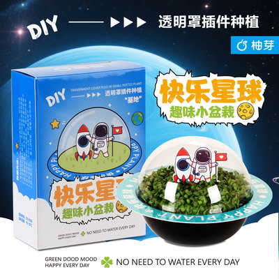 趣味植物盲盒学生快乐星球绿植盆栽好养活花桌面小盆栽生日伴手礼