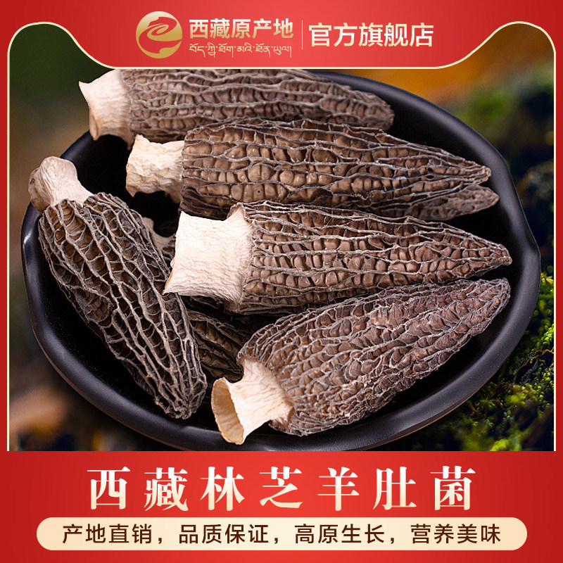 达娃曲珍西藏林芝羊肚菌剪炳 菌菇干货食材新鲜西藏 特产