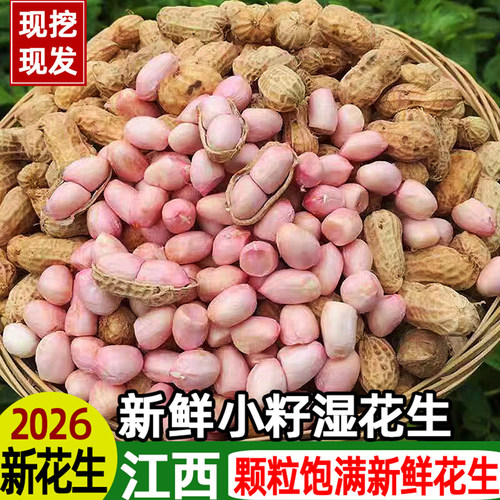 新鲜湿花生精选粉皮花生
