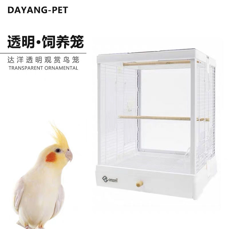 达洋4001双面钢化玻璃