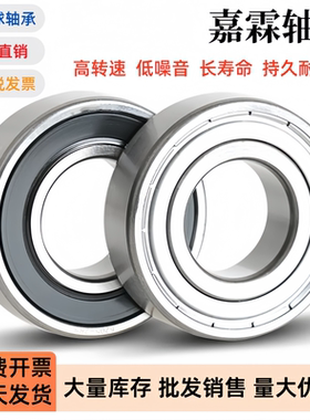 哈尔滨轴承16100 16001 16002 16003 16004 16005 ZZ 型号大全