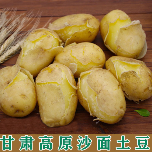 甘肃定西土豆新鲜黄心沙面大土豆高山洋芋10斤包邮送礼品马铃薯