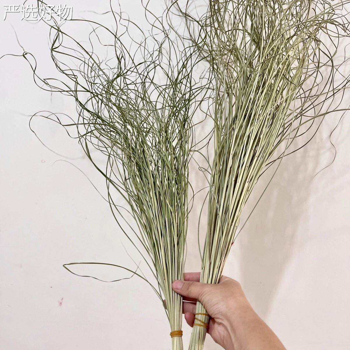 【全国包邮】长枝仙小女草细叶芒干干燥花包花束清客厅装饰花天然
