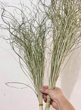 【全国包邮】长枝仙小女草细叶芒干干燥花包花束清客厅装饰花天然