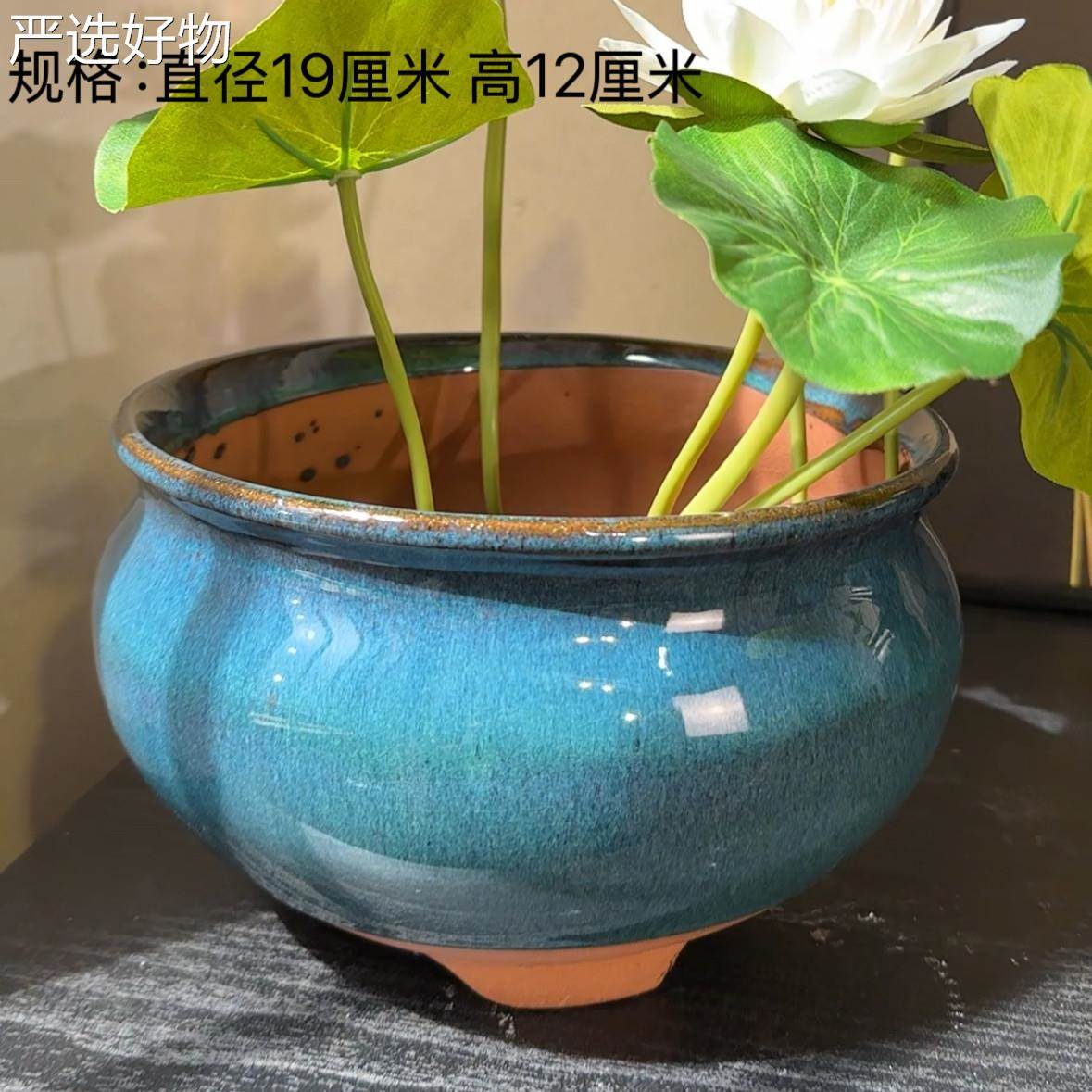 【全国包邮】多款莲大号无盆碗莲专用盆深莲盆睡莲花一叶缸铜钱孔