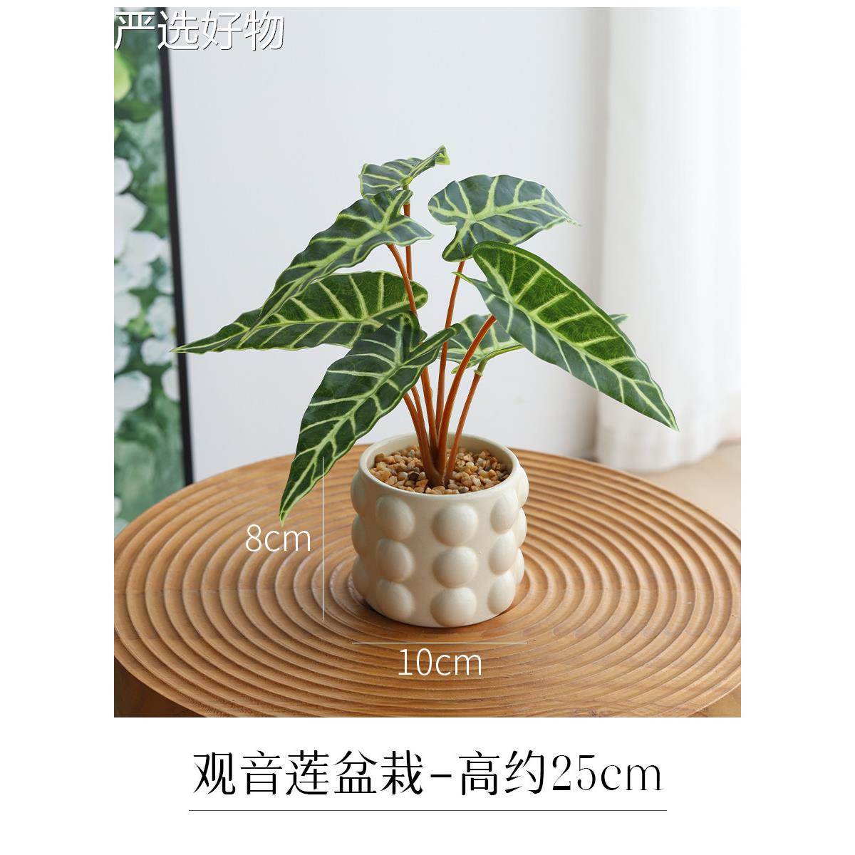 【全国包邮】采购产品模拟色植物,假,小盆栽植物,客,办公室桌