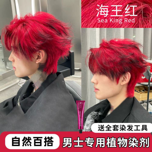 海王红染发剂男士专用植物免漂学生自己在家染发阳光下显色暗红色