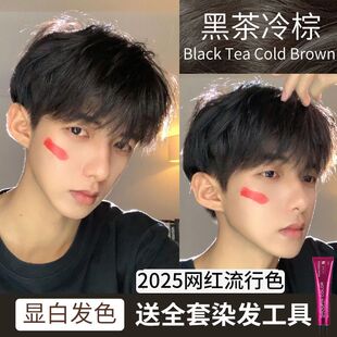 黑茶冷棕染发剂2026染发膏流行色免漂植物黑茶色学生自己在家染发