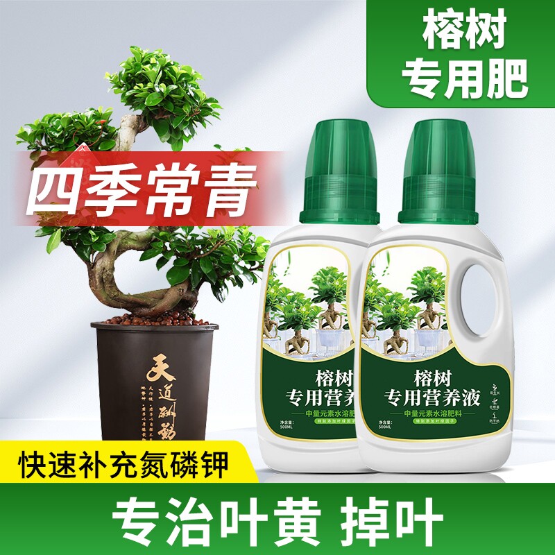 榕树营养液黄叶掉叶不长叶黄金榕人参榕小叶榕树盆景专用肥料
