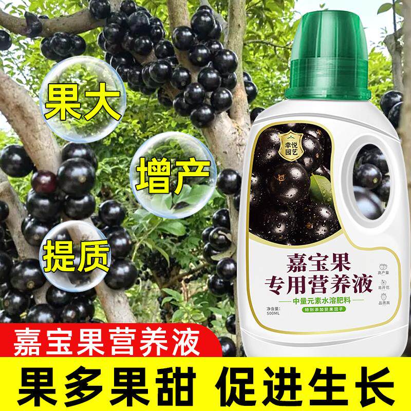 嘉宝果营养液嘉宝果专用肥料四季通用加宝果有机肥保花保果树肥