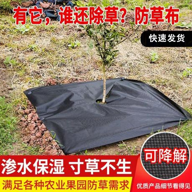 农用防草布抑草除草布农用地布果树盖草布遮草地布黑地膜打孔切片