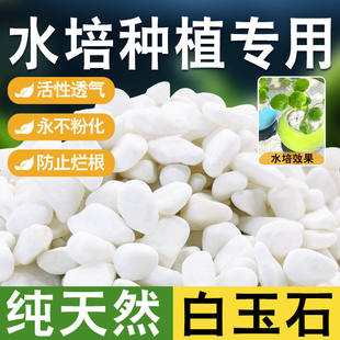 免洗精品水培白石子小颗粒鹅卵石雨花石鱼缸造景盆栽庭院铺路花盆